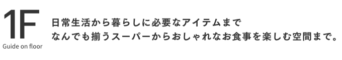 メンバー紹介